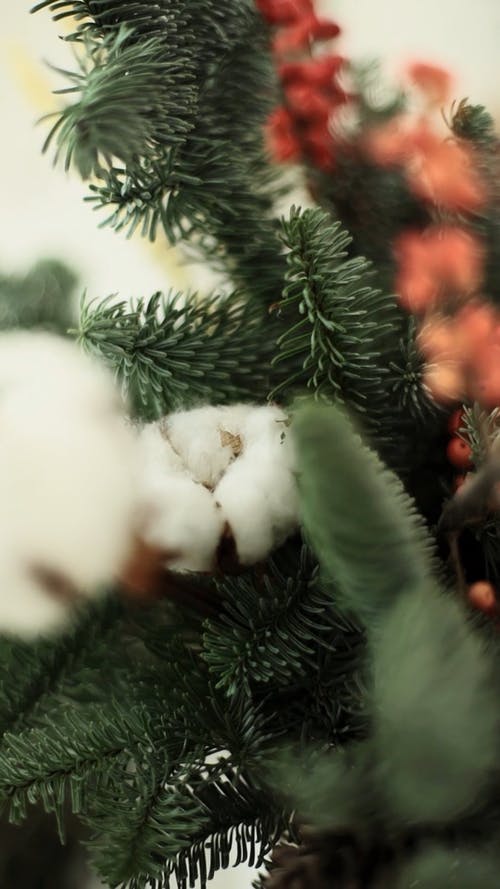 圣诞饰品和花环用于安排花瓶 · 免费素材视频