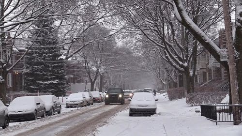 车辆被雪覆盖的画面 · 免费素材视频