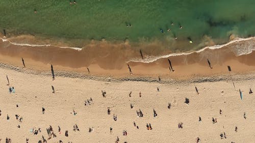 人们在晴朗的一天享受海滩 · 免费素材视频
