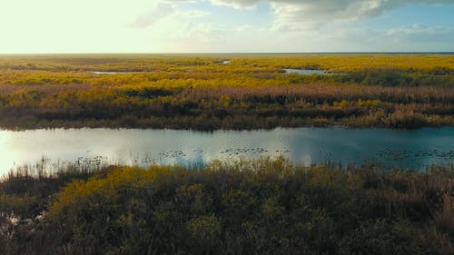 河的无人机画面 · 免费素材视频