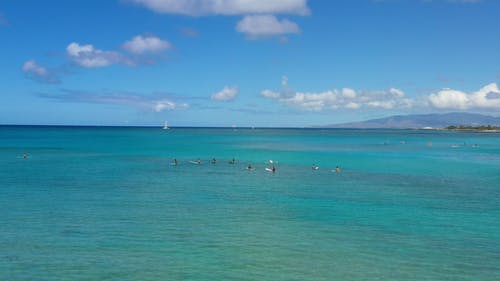 有关冲浪休息, 夏威夷, 威基基的免费素材视频