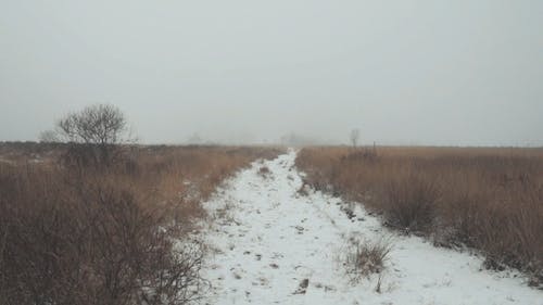 在人行道上积雪 · 免费素材视频