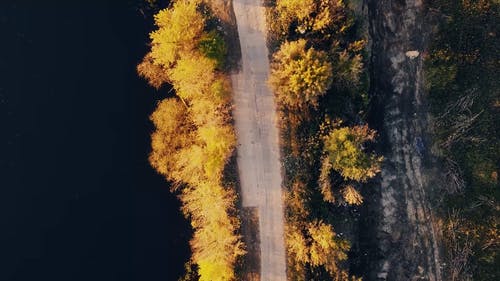 有关户外, 树, 水的免费素材视频