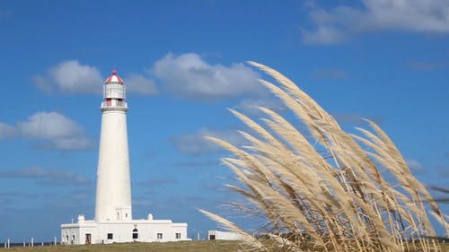 有关塔, 日光, 海的免费素材视频