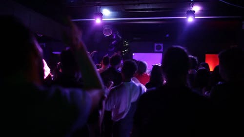 唱片骑师的音乐与人群共舞 · 免费素材视频