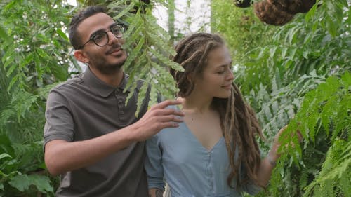 一对夫妇参观温室的不同种类的植物 · 免费素材视频