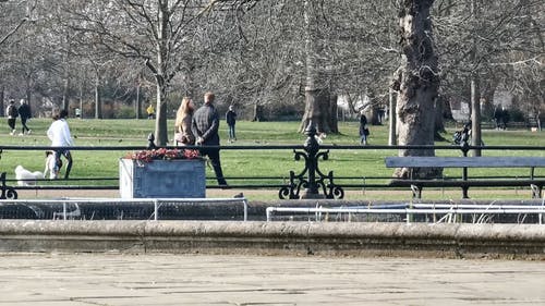 人们在伦敦海德公园中心度过一天 · 免费素材视频