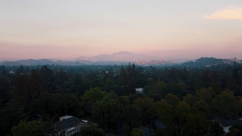 有关公路, 天性, 居住区的免费素材视频