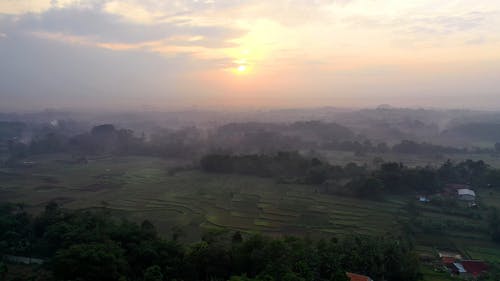 有关从上面, 田, 稻田的免费素材视频