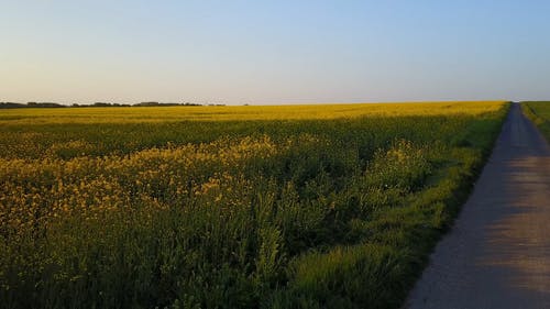 有关户外, 无人机视频, 白天的免费素材视频