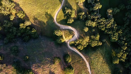 有关天性, 弯曲的路, 从上面的免费素材视频