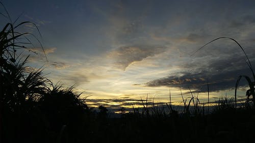 有关剪影, 多云的天空, 天性的免费素材视频