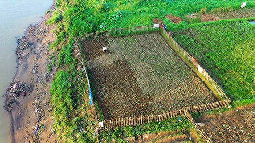 有关农业用地, 户外, 林场的免费素材视频