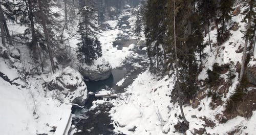 有关下雪的, 下雪的天气, 冷 - 温度的免费素材视频