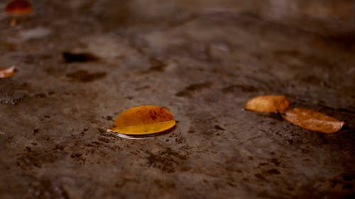 有关下雨, 人, 反射的免费素材视频