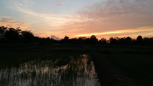 有关khon kaen, 剪影, 天性的免费素材视频