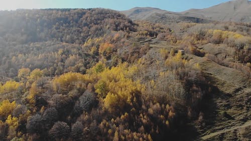 有关天性, 天空, 山的免费素材视频