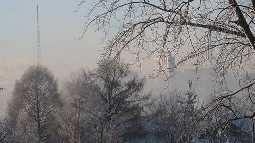 有关下雪的天气, 冬季, 冷的免费素材视频