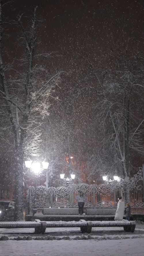 有关下雪, 冬季, 冷的免费素材视频