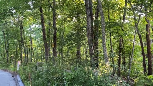 有关公路旅行, 天空, 小路的免费素材视频