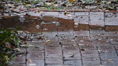 有关下雨, 地板, 地面的免费素材视频