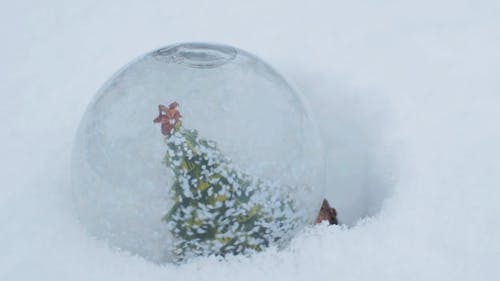 有关下雪的, 假日, 传统的免费素材视频