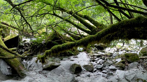 有关4k, 4k 桌面, 冷静的免费素材视频