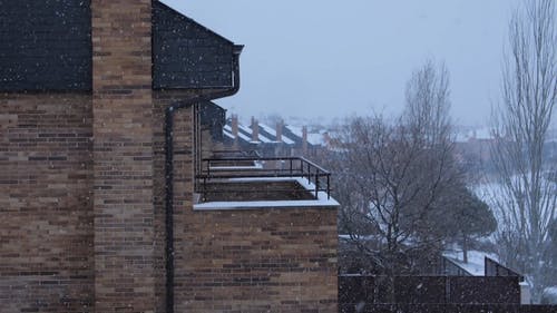 有关下雪, 冻结的, 大雪覆盖的免费素材视频