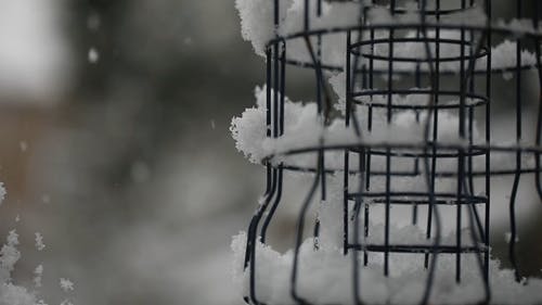 有关下雪, 冬季, 冷的免费素材视频
