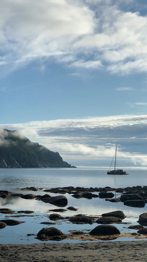 有关垂直视频, 天性, 岩石海岸的免费素材视频