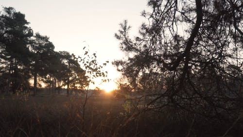 有关地平线, 天性, 太阳的免费素材视频