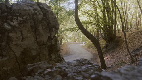 有关天性, 岩石, 弯曲的路的免费素材视频