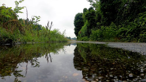 有关下雨, 天空, 森林的免费素材视频