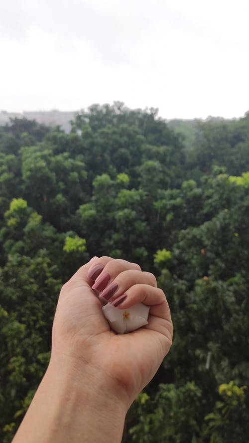 有关下雨, 人, 垂直视频的免费素材视频