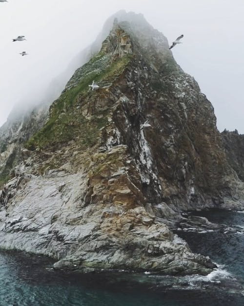 有关birds_flying, cinemagraph, 垂直视频的免费素材视频