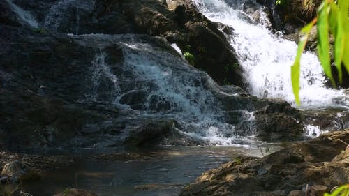 有关天性, 小河, 岩石的免费素材视频