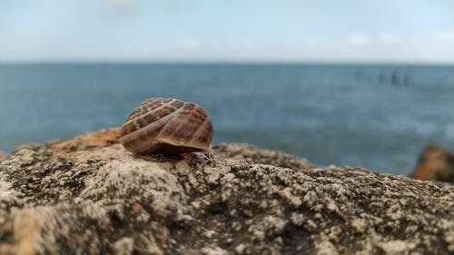 有关岩石, 户外, 海洋背景的免费素材视频