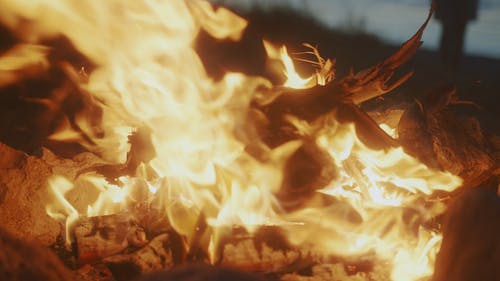 有关升火的木柴, 大火, 木柴的免费素材视频
