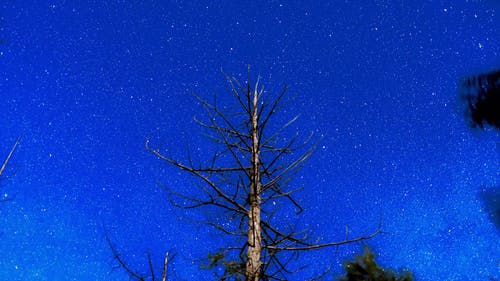 有关4k, 低角度拍摄, 夜间的免费素材视频