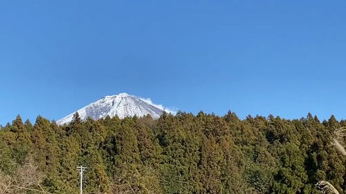 有关低角度拍摄, 天性, 天空的免费素材视频