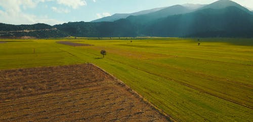 有关农地, 天性, 户外的免费素材视频