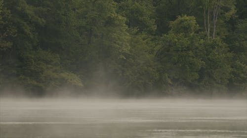 有关天性, 平静的水面, 户外的免费素材视频