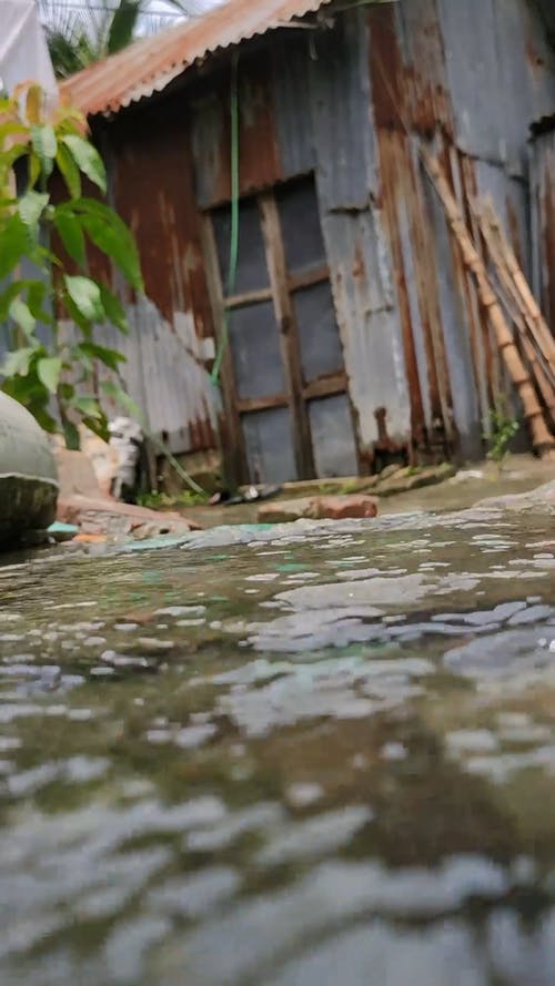 有关后雨, 地面射击, 垂直视频的免费素材视频