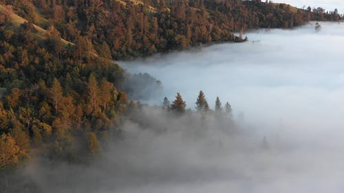 有关天性, 山, 户外的免费素材视频