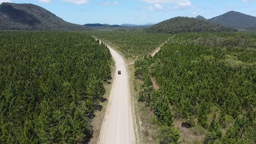 有关乡村小路, 冒险, 户外的免费素材视频