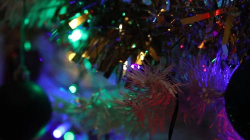 有关树枝, 灯光, 圣诞树的免费素材视频