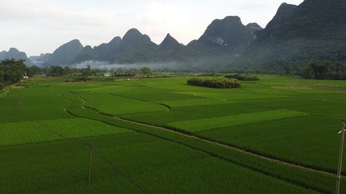 有关flies, green mountains, river side的免费素材视频