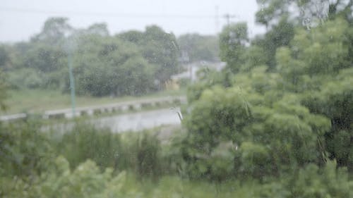 有关下雨, 湿, 窗的免费素材视频