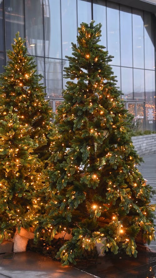 发光的圣诞树 · 免费素材视频