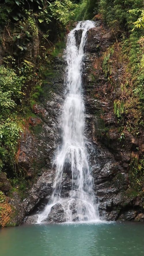 有关垂直视频, 天性, 水的免费素材视频